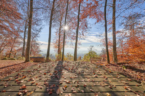 Gemeinde Julbach Landkreis Rottal-Inn Schlossberg Herbst (Dirschl Johann) Deutschland PAN